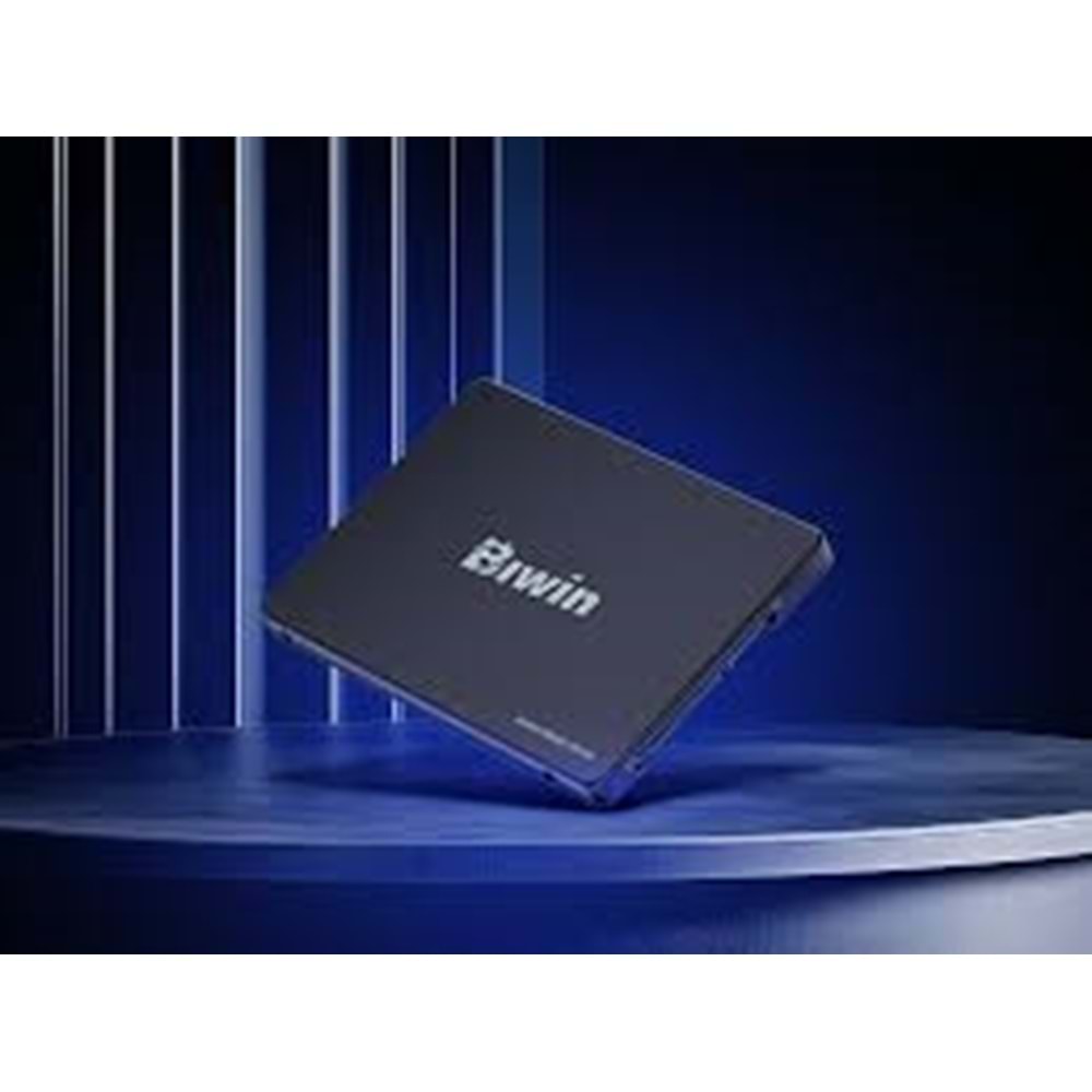 HP BIWİN M100 256GB 2.5