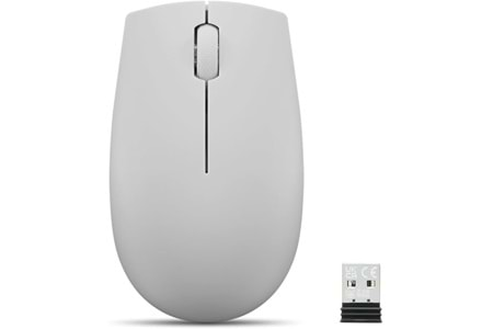 Lenovo 300 1000 dpı 2.4ghz Kablosuz Mouse GY50R91293 ( ARCTIC GREY )