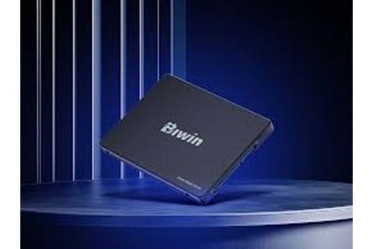 BIWİN M100 256GB 2.5