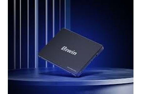 BIWİN M100 256GB 2.5