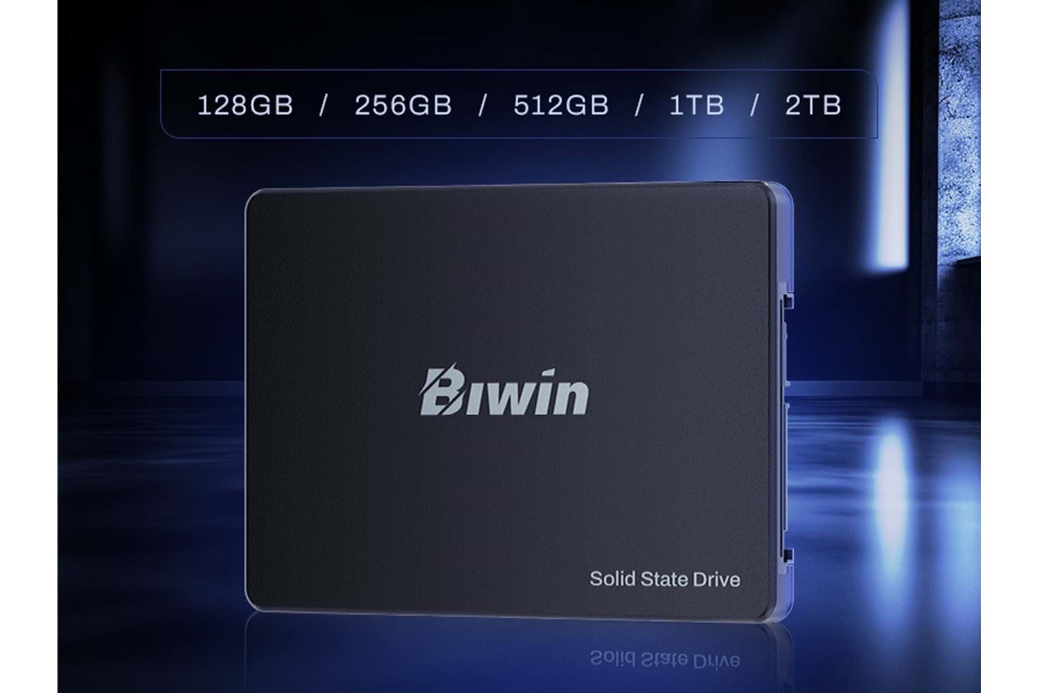 BIWİN M100 256GB 2.5