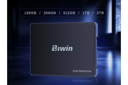BIWİN M100 256GB 2.5