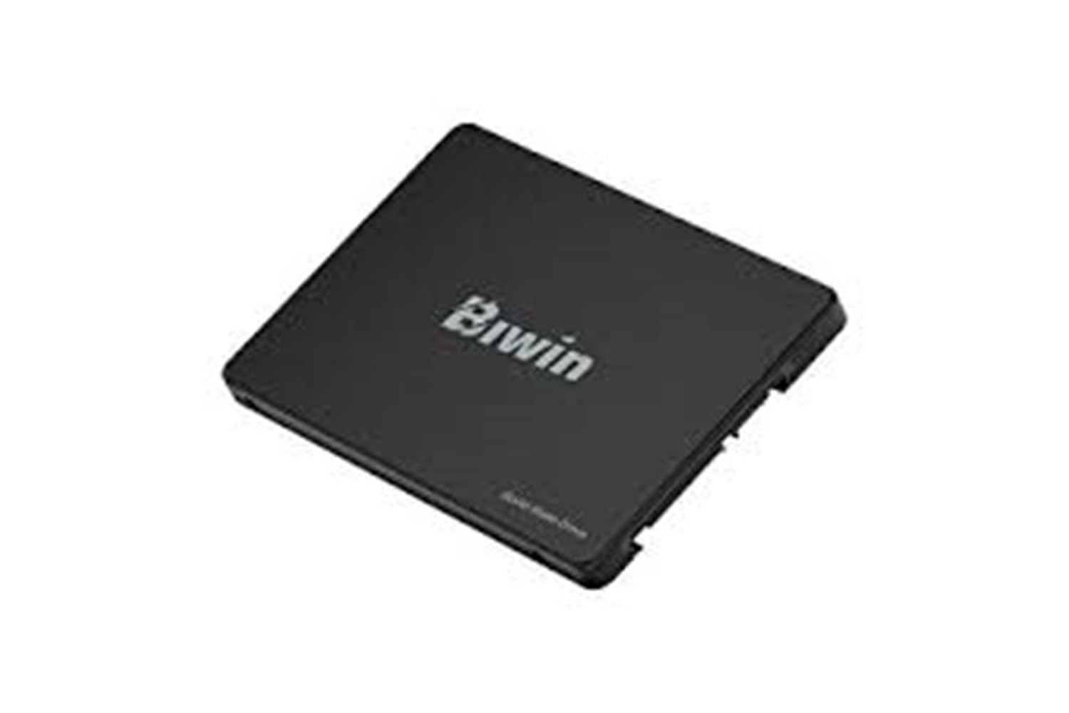 BIWİN M100 256GB 2.5