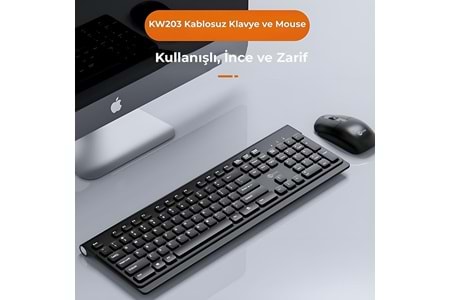 LENOVO LECOO KW203 KABLOSUZ TÜRKÇE SİYAH Q KLAVYE & MOUSE SET